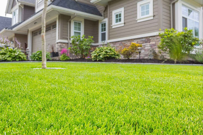 Land Clearing Methods Choosing the Right Approach for Your Project