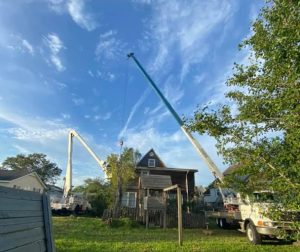 What Is Tree Service