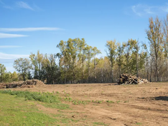Land Clearing Service